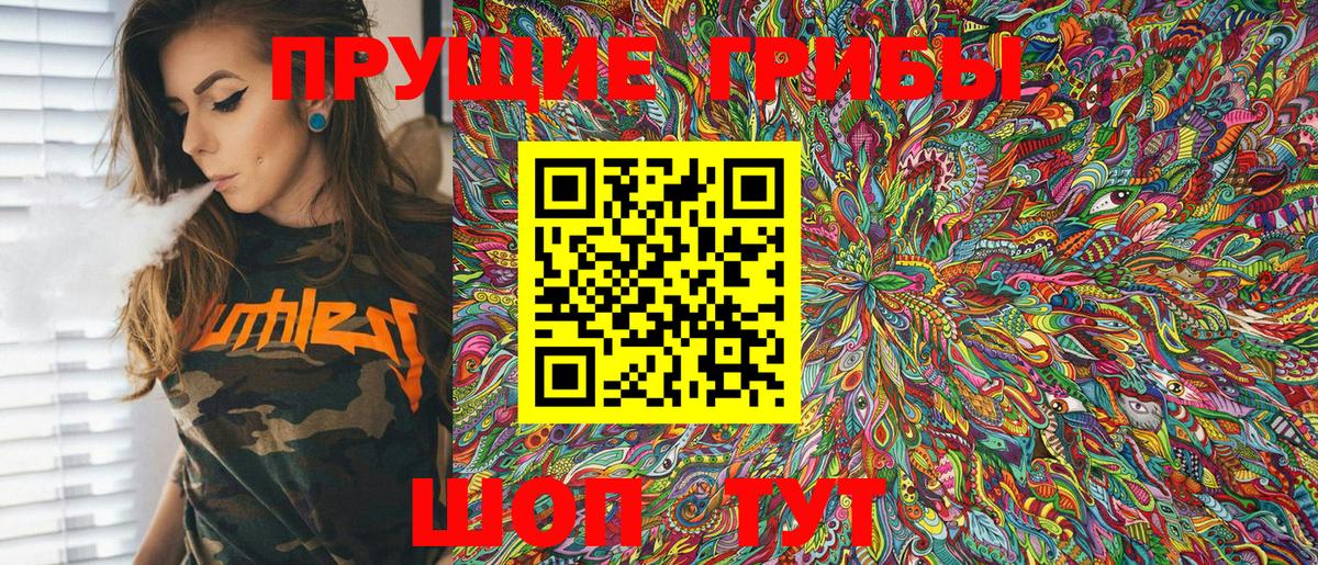 Владикавказ  Псилоцибиновые грибы Psilocybe  Вход с VPN 