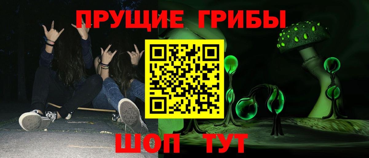 Псилоцибиновые грибы Cubensis Владикавказ