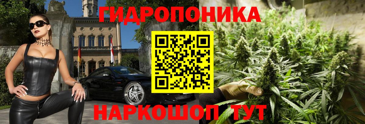 Каннабис MAZAR  Вход с VPN  Шишки марихуана SATIVA & INDICA  Владикавказ  Марихуана Ganja 